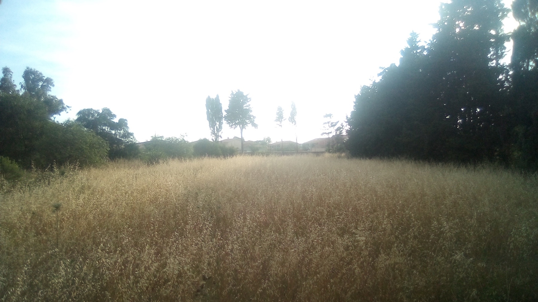 20_Terreno_2